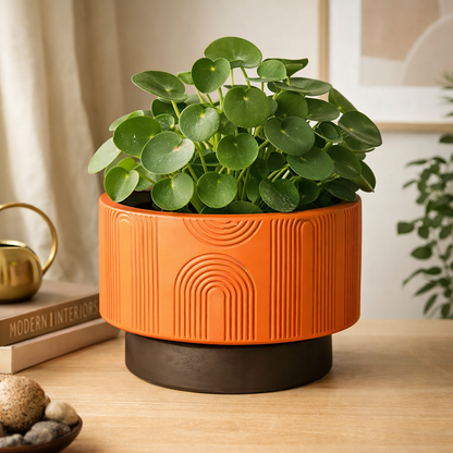 Decorative Pattern Plant Pot Silicone Mold