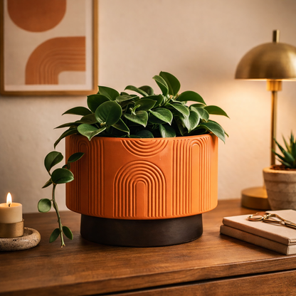 Decorative Pattern Plant Pot Silicone Mold